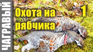 Секреты охоты на рябчика - 1. Secrets of hunting grouse from Russia - 1.