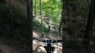 Flowin' on the coaster 🎢 #shortvideo #mtbbikes #mountainbike #extremesport #downhill #rollercoaster