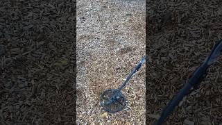 September 20, 2024 Metal Detecting