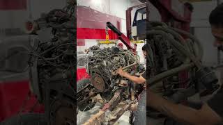 1990 Ford F-250 XLT Lariat APART!! #youtubeshorts #shorts #viral #ford #f250 #resto #explore #fyp