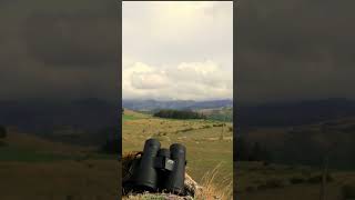 Sit back and watch nature with the Verano BGA VHD binocular range