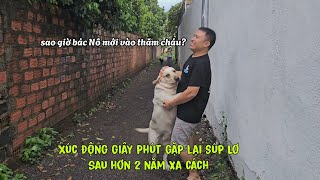 Xúc động giây phút gặp lại Súp Lơ sau hơn 2 năm xa cách