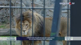 O‘zbekistonda fuqarolar saqlashi taqiqlangan yovvoyi hayvonlar ro‘yxati tasdiqlandi