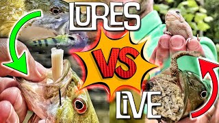 Live Bait or Lures - What catches more smallmouth bass?