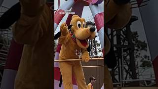 Pluto, Chip, and Daisy at Magic Kingdom