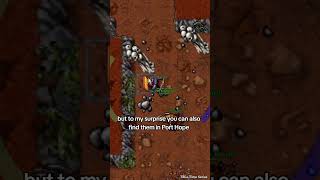 Tibia Time Boosted Series: Corym Charlatan! 🐀 #tibia #gaming #shorts