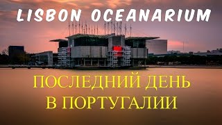 ПОРТУГАЛИЯ ВЛОГ - Лис­са­бонс­кий Океанариум