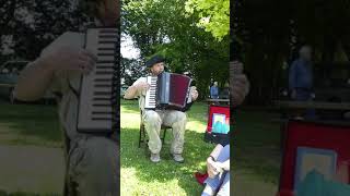 Accordian Player