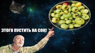 ПРЕСС ДЛЯ ЯБЛОК, СВОИМИ РУКАМИ. КРАШ ТЕСТ.