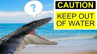 KEEP OUT OF THE POOL??!!  Playing with the Mattel Mosasaurus in water