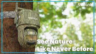 Spy on Wildlife with Your Camera | Reolink TrackMix LTE-C