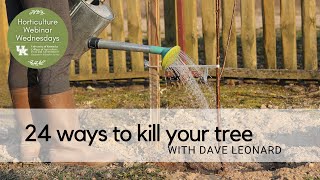 24 Ways to Kill Your Tree