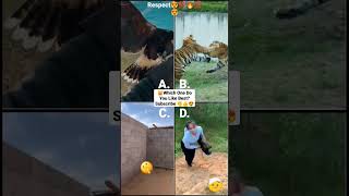 Funny Animal Videos 2022 - Funniest Cute Cats And Dogs Video Compilation - #tiktok #shorts #respect