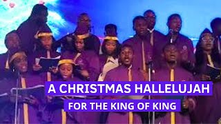 A CHRISTMAS HALLELUJAH #vlogmasday20 #christmas #kingofking #hallelujah #christmaspiano