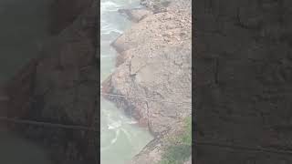 One Person Fell in Chenab River at Hasti Kishtwar.