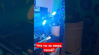 Световая голова из фантастического фильма ужасов #диджеинг #юмор #прикол