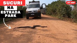 SUCURI NA ESTRADA PARQUE PANTANAL