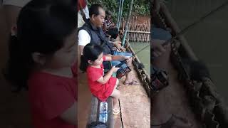 MANCING IKAN MAS, MIKA DAPAT BESAR