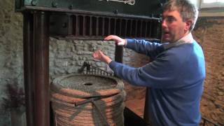 Cold pressing olive oil