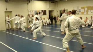 BASSAIDAI SHOTOKAN vitesse de  combat