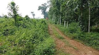 kerala timber lorry | കോൽ തടിയുമായി നാട്ടു കൊമ്പൻ