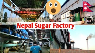 Nepal Sugar Factory | Everest Sugar Factory Mahottari Tour | @musafirnepali