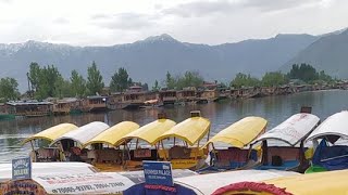 Dal Lake || Srinagar || Jammu and Kashmir Live