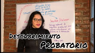 Descubrimiento probatorio | Díaz Aguirre Abogados