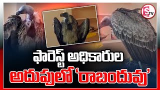 ఫారెస్ట్ అధికారుల అదుపులో 'రాబందువు'..|| Latest News Updates | Telugu ||@SumanTVjagtial