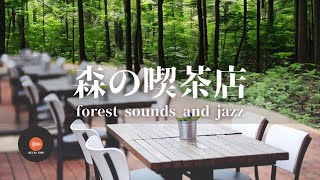 Ambient sounds + JAZZ Gentle forest coffee shop Relaxing work/study CAFE MUSIC - BGM for work☕