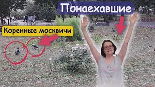 Кто в Москве коренные москвичи, а кто понаехавшие