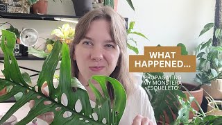 What HAPPENED... | Propagating my Monstera Esqueleto