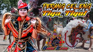 Perang Celeng Rogo Satrio Mudho - Indonesia !!! Info Celeng Cantik Bestie Tiya Tiyol Part 1