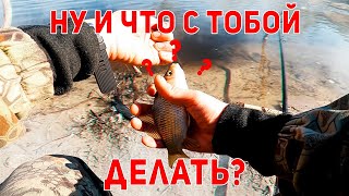 Что лучше всего сделать с мелкой рыбой?