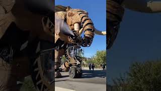 🐘Omg😳#amazing #elephant#animals #animalslover #viral #shortsfeed #trending #love #short #ytshorts