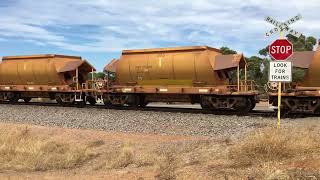 IMG 3314 P2501/ P2517/ P2507 7720  Mt Gibson iron ore to Perenjori Bringo 22/12/18. Phil Melling.