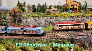 BR 120 Micky Maus DB mit FD Königssee Hamburg - Berchtesgaden + BR 110 Mauszug Spur N von Minitrix