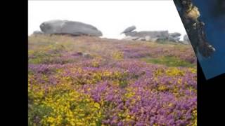 Bretagne - une des plus belles voix bretonne