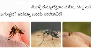 ಸೊಳ್ಳೆ ಕಚ್ಚೋದ್ರಿಂದ ತುರಿಕೆ, ದಪ್ಪ ಏಕೆ ಆಗುತ್ತದೆ? ಇದಕ್ಕೂ ಒಂದು ಕಾರಣವಿದೆ. #rvrkannadachannel #mosquito