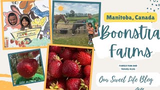 🇵🇭🇨🇦Canada Vlog: Strawberry Picking at Boonstra Farms, Stonewall, Manitoba| Petting Zoo & Train