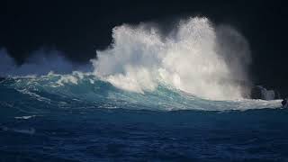 Makapu'u Waves