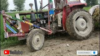 massey ferguson 240  in stuck of the mud is pulling up is very best performance