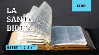 ESTER 1, 2, 3, 4 (DÍA 140) LA SANTA BIBLIA || Biblia hablada ||