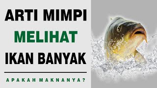 Arti Mimpi Melihat Ikan Banyak