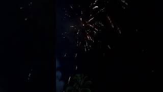 Fireworks 🎆 flashes in the night sky.