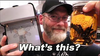 Homemade Vanilla Extract + Reviewing MyVodkaMaker-Mini Still