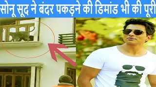 Sonu Sood also fulfilled the demand to catch the monkey | सोनू सूद ने बंदर पकड़ने की डिमांड की पूरी,