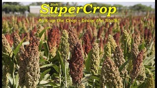 SuperCrop® Header - Picking up Down Sorghum Milo! (1 of 3)