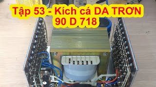 Tập 53 - Kích lạnh 90D thả cá da trơn, kích cá lăng cá nghạnh