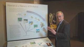 Richard Dawkins: Hawaii as a Nursery of Evolution - Nebraska Vignettes #6